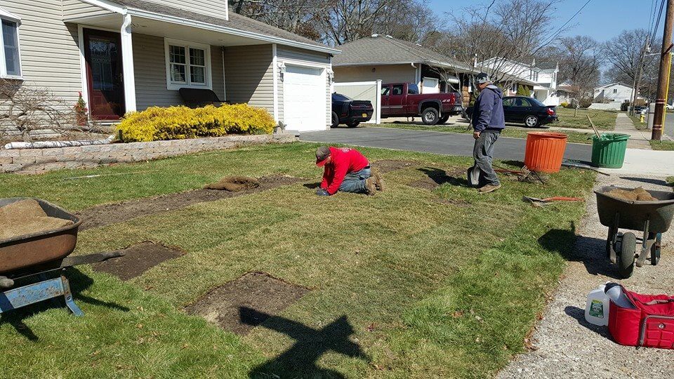 Landscaping Contractor Landscaping Contractor