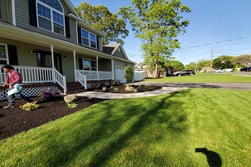 Lawn Cleanup Lawn Cleanup